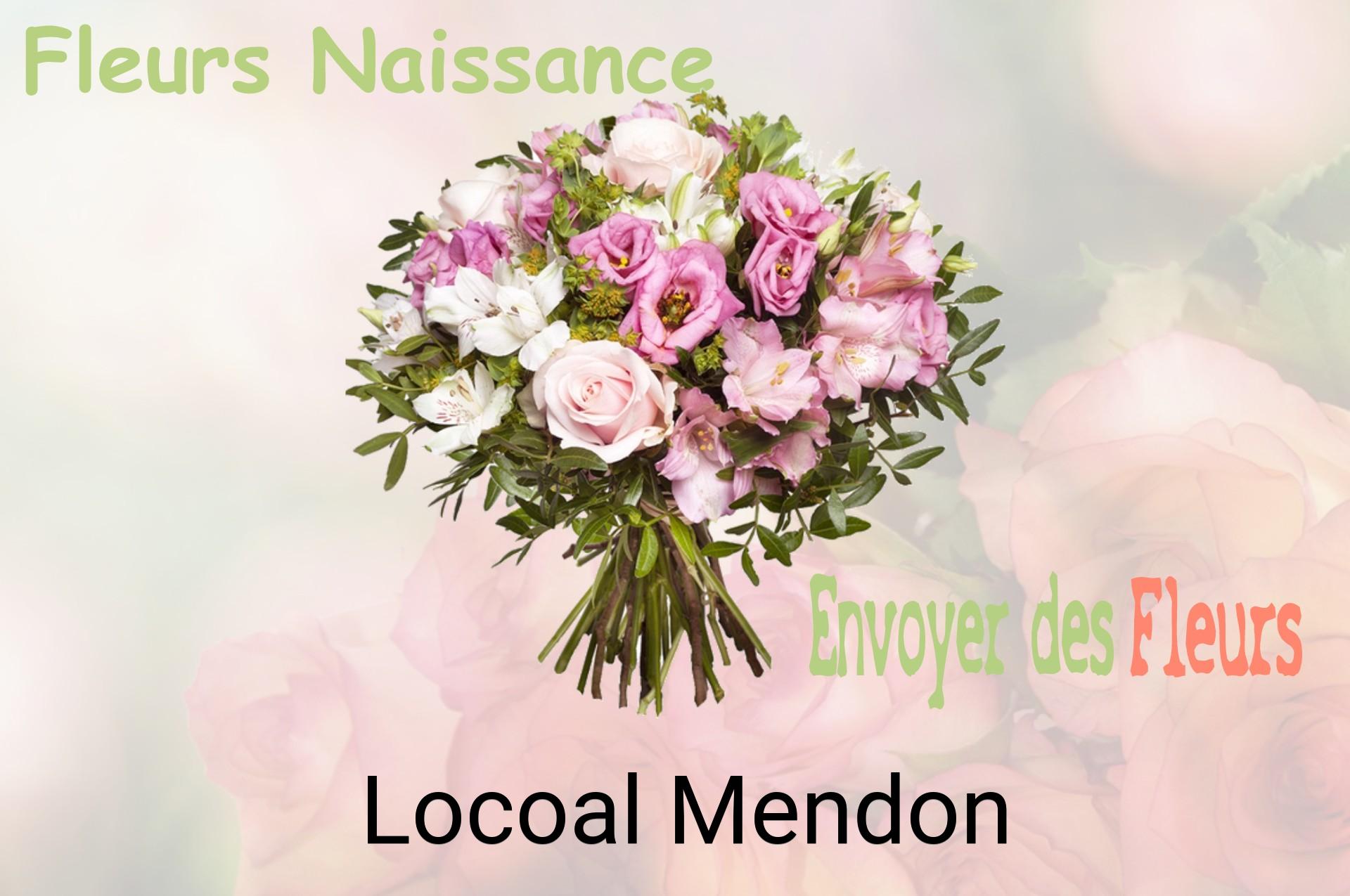 Bouquet de fleurs de naissance livré à Locoal-Mendon